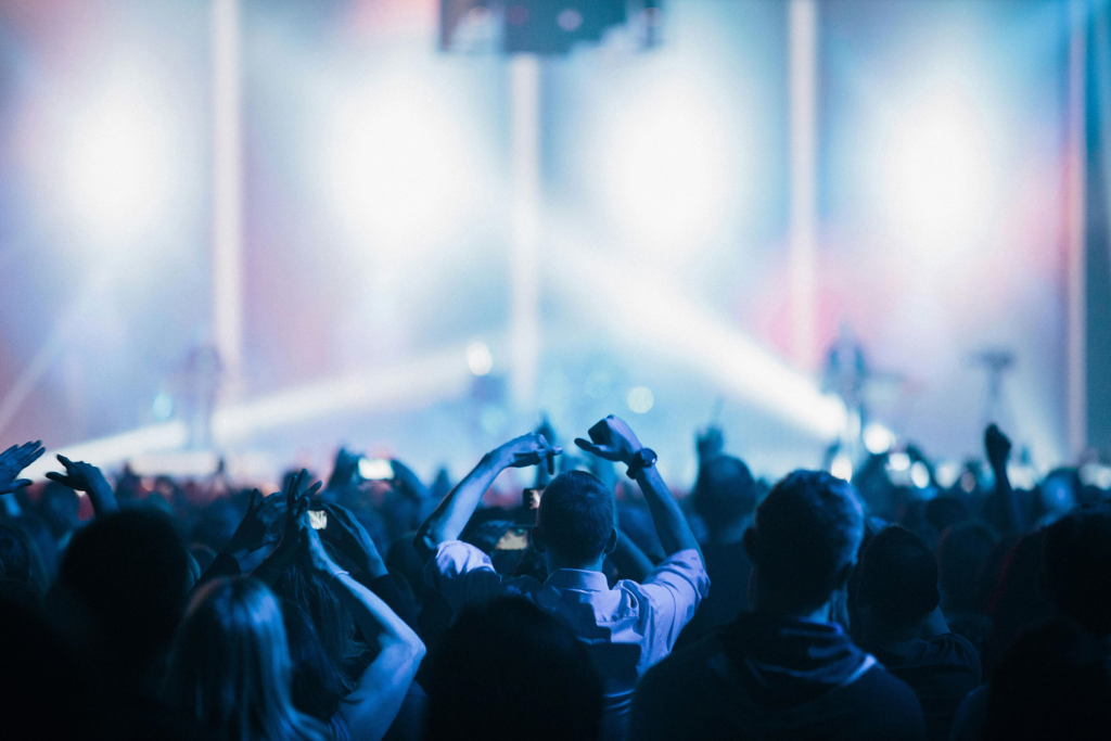 Concert crowd